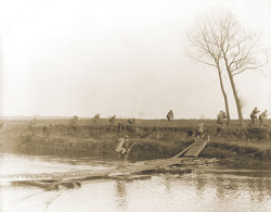 Soldiers of the 146th Infantry, 37th Division, crossing the Scheldt River at Nederzwalm under fire. Image courtesy of The National Archives.